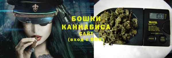 эйфоретик Бородино