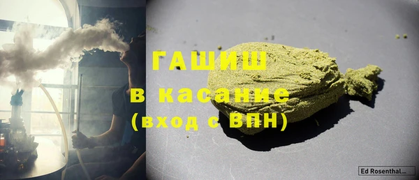 ECSTASY Богданович
