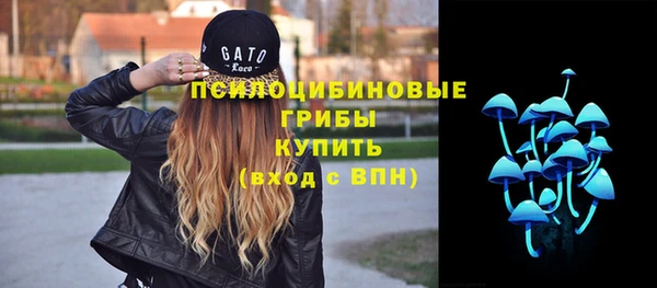 эйфоретик Бородино