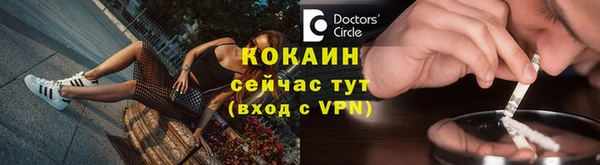 дживик Бронницы