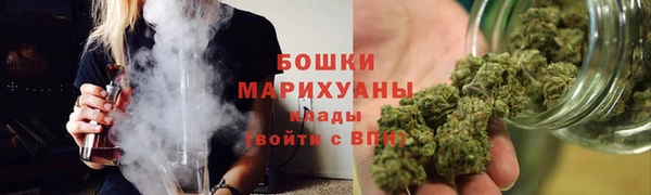 дживик Бронницы