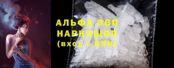 ECSTASY Богданович