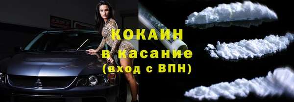 дживик Бронницы