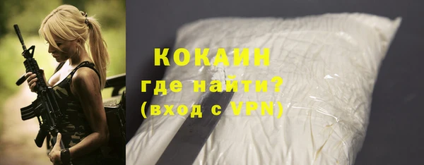 apvp Богородицк