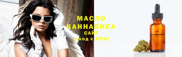 дживик Бронницы