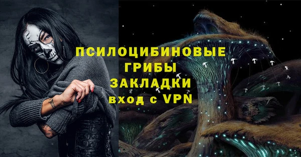 эйфоретик Бородино