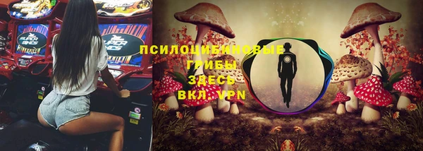 apvp Богородицк