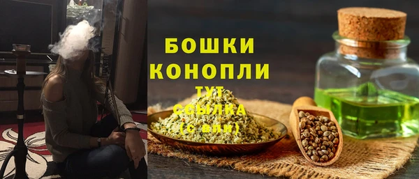 apvp Богородицк