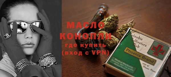 ECSTASY Богданович